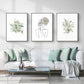 Wall Art Botanical Line Girl 3 Sets Black Frame Canvas 70cm