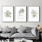 Wall Art Botanical Line Girl 3 Sets Black Frame Canvas 70cm