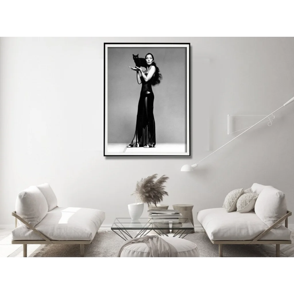 Wall Art Cher Music Black & White Poster 100x150CM Black