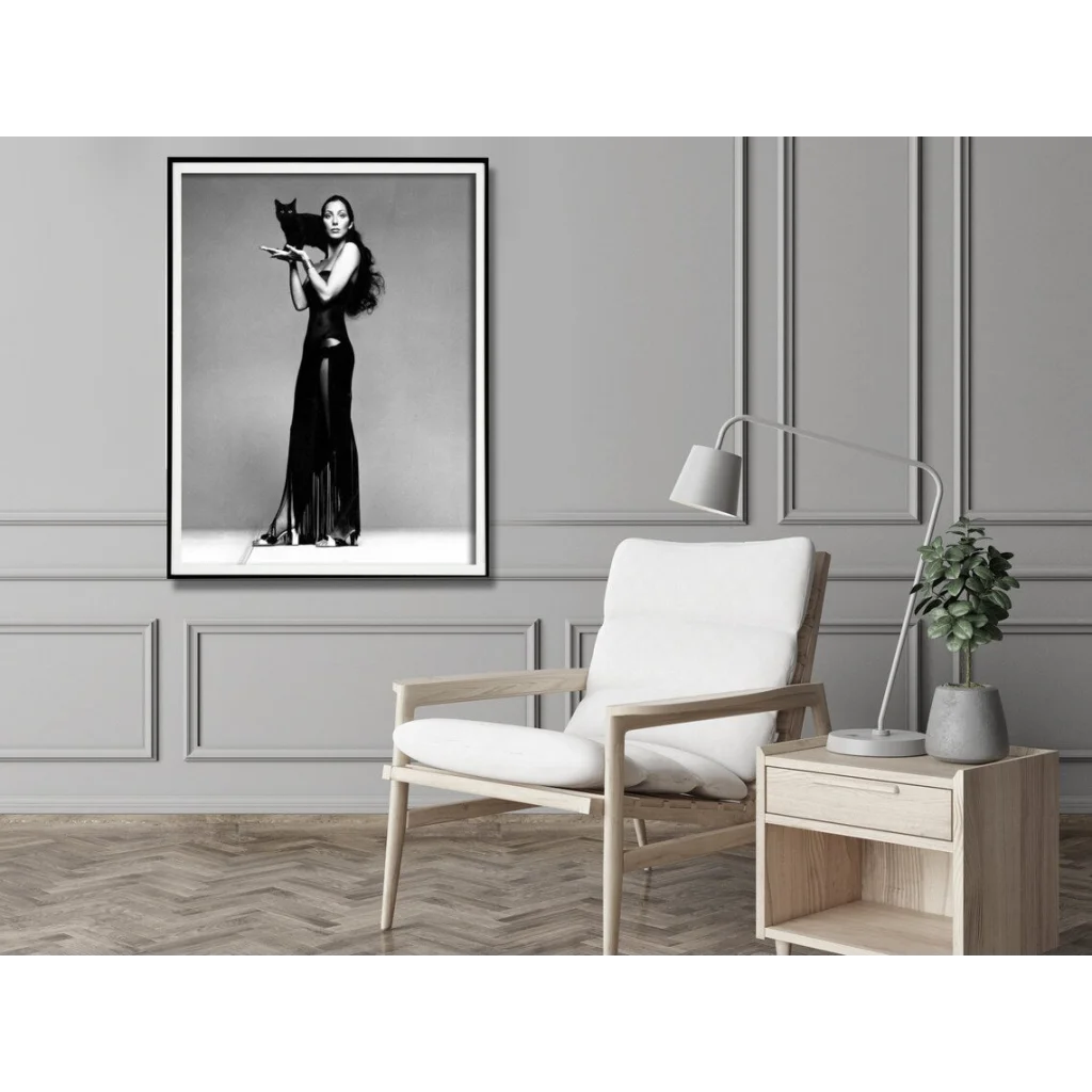 Wall Art Cher Music Black & White Poster 40x60CM Black