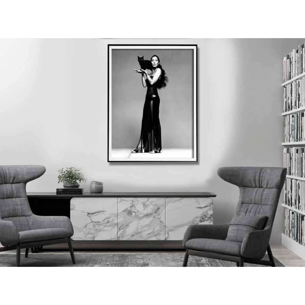 Wall Art Cher Music Black & White Poster 70x100CM Black