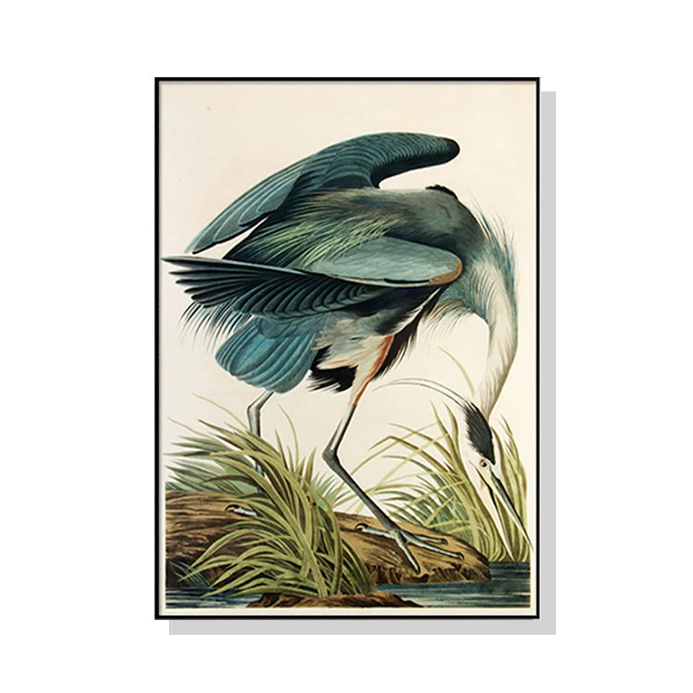 Wall Art Great Blue Heron By John James Audubon Black Frame