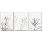 Wall Art Lavender Eucalyptus 3-Piece Set 50x70cm Wood Frame