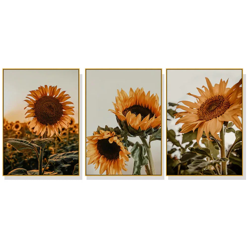 Wall Art Sunflower 40x60cm 3 Sets Gold Frame Canvas - Home