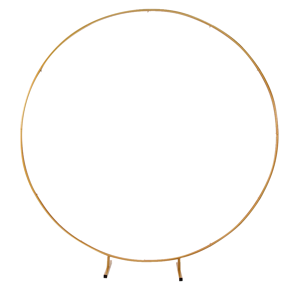 Wedding Hoop Round Circle Arch 2M Backdrop Flower Display