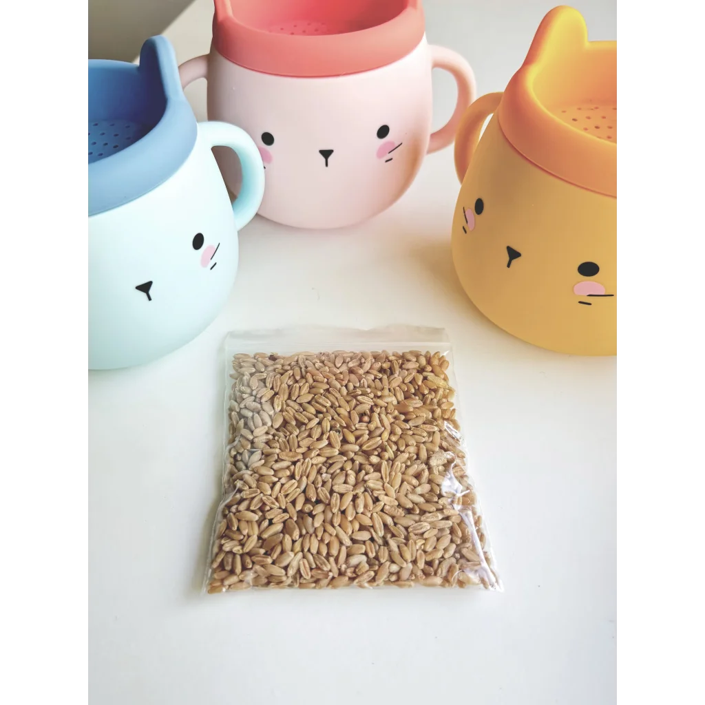 Whisker Wonderland Premium Cat Grass Seeds Refill