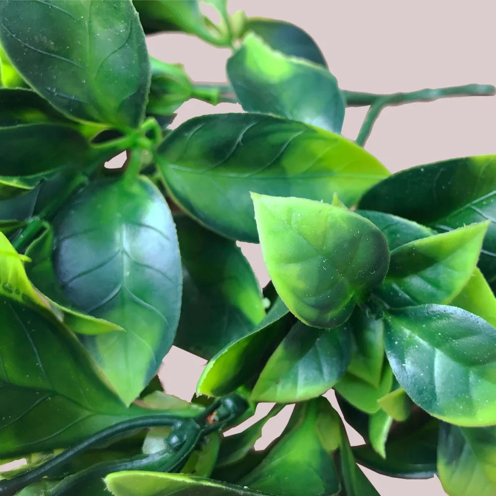 White Flowering Jasmine Stem UV Resistant 30cm - Artificial