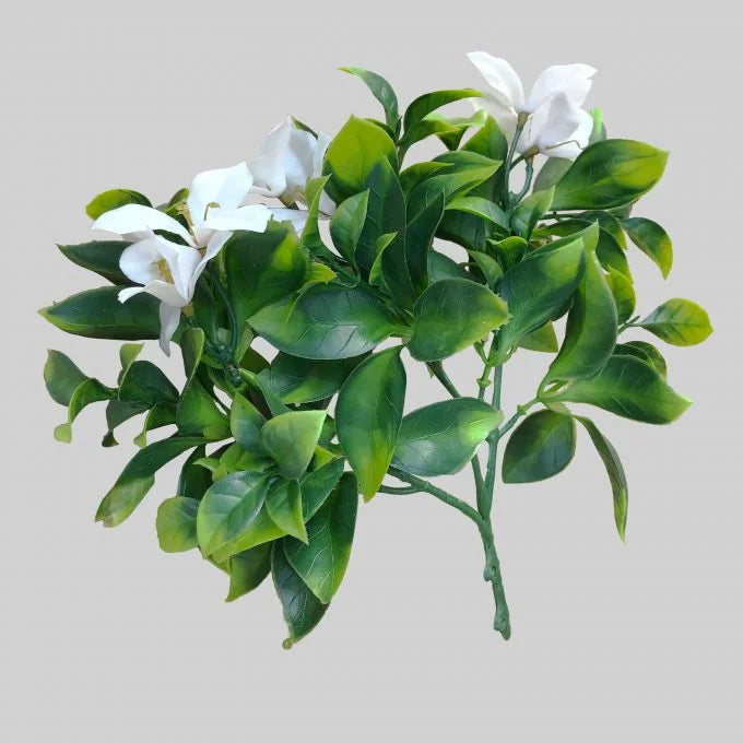 White Flowering Jasmine Stem UV Resistant 30cm - Artificial
