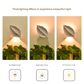 White Leaf-Shaped LED Motion Sensor Night Light - USB