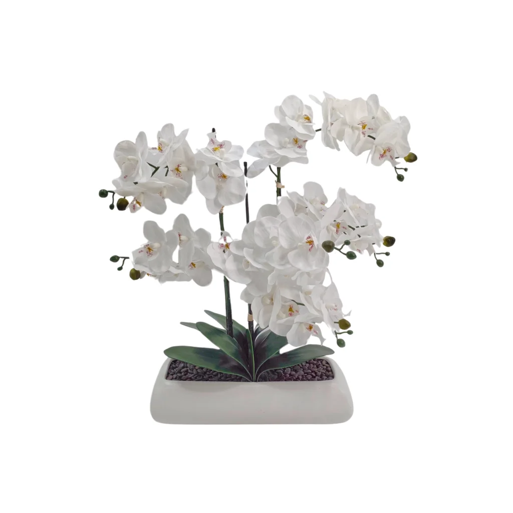 White Orchid In Rectangle Ceramic Pot 56x61cm - Home &