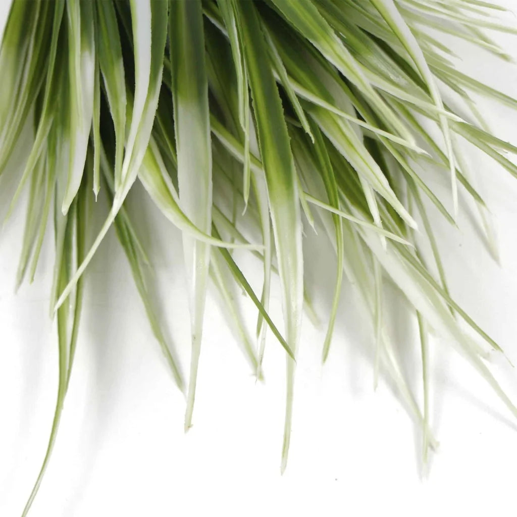 White Tipped Grass Stem UV Resistant 35cm - Home & Garden >