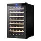 Wine cooler fridge with thermoelectric cooler body and control panel