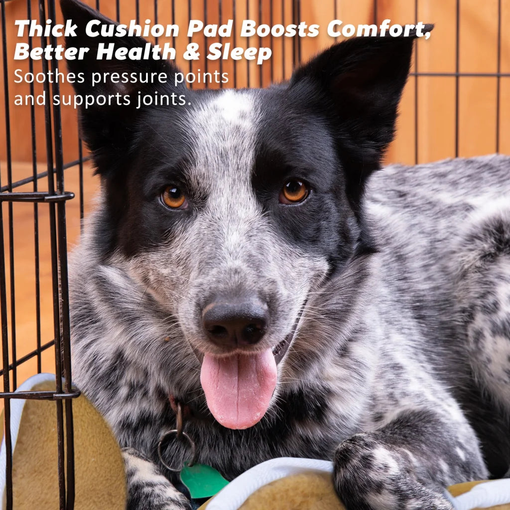 Wire Dog Cage Foldable Crate Kennel 42in with Tray