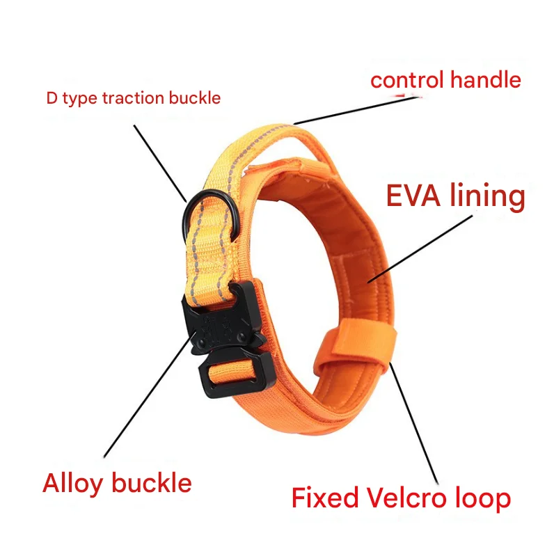 XL Black Hands-Free Dog Leash with Adjustable Waist Belt