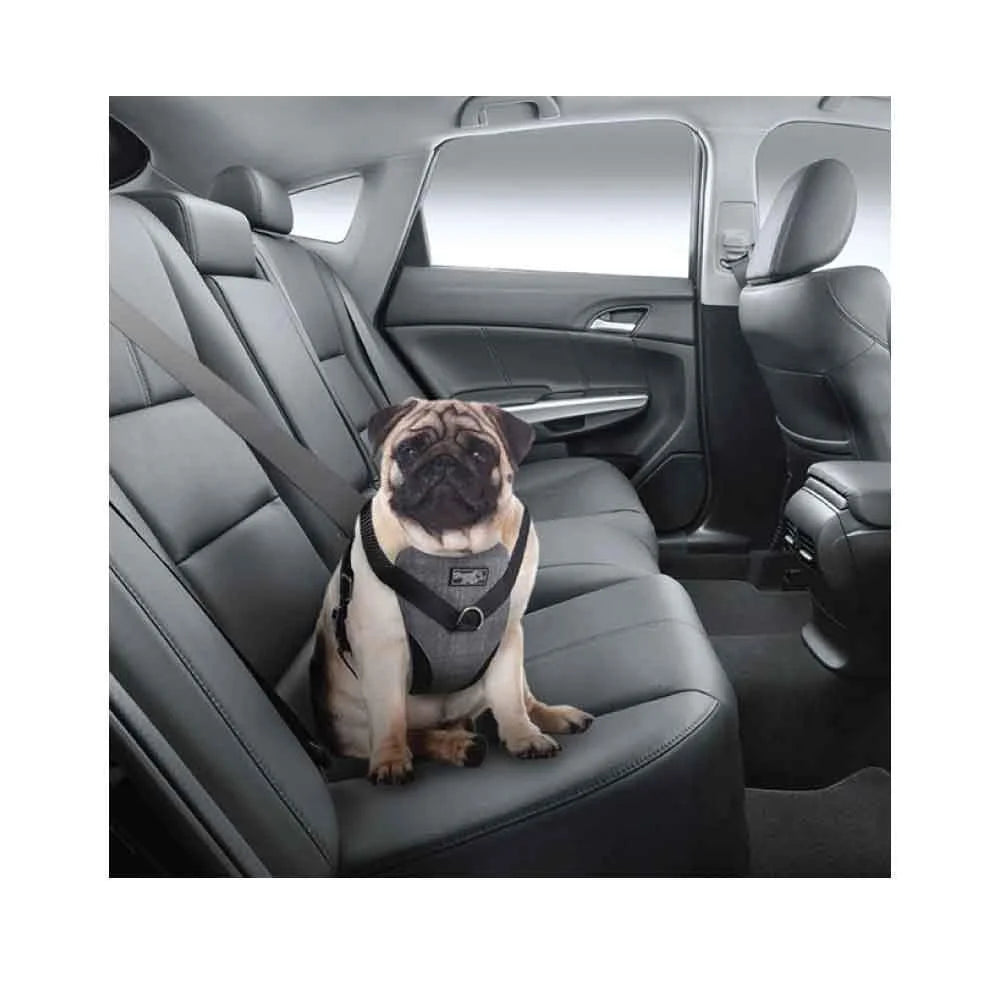 XL Dog Harness 2 in 1 Combo - Car Travel Rides + Walks