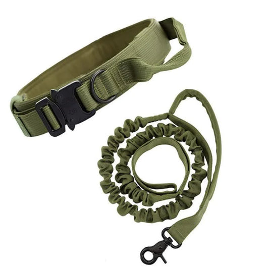 XL Green Hands-Free Dog Leash with Adjustable Waist Belt