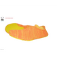 XtremeKinetic Minimal Training Shoes Yellow/Orange US MAN