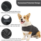 XXXL Dog Vest Jacket - Warm Soft and Comfortable Dog Coat