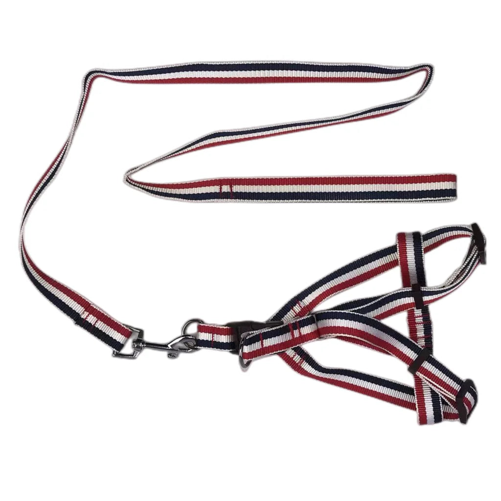 YES4PETS 2 X Large Pet Dog Harness Collar leash lead - Pet