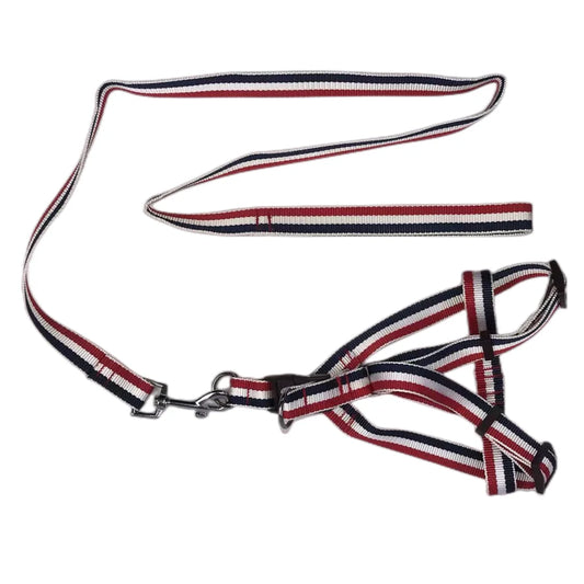 YES4PETS 2 X Large Pet Dog Harness Collar leash lead - Pet