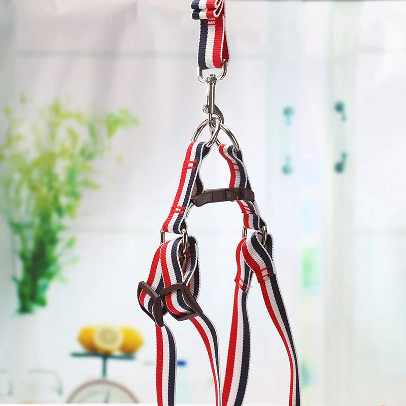YES4PETS 2 X Large Pet Dog Harness Collar leash lead - Pet