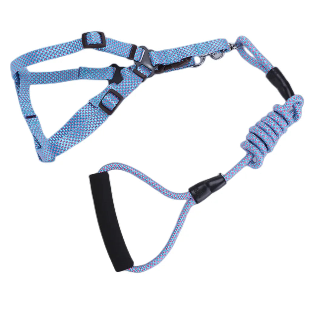 YES4PETS 2 X Medium Pet Dog Cat Puppy Kitten Rabbit Dog