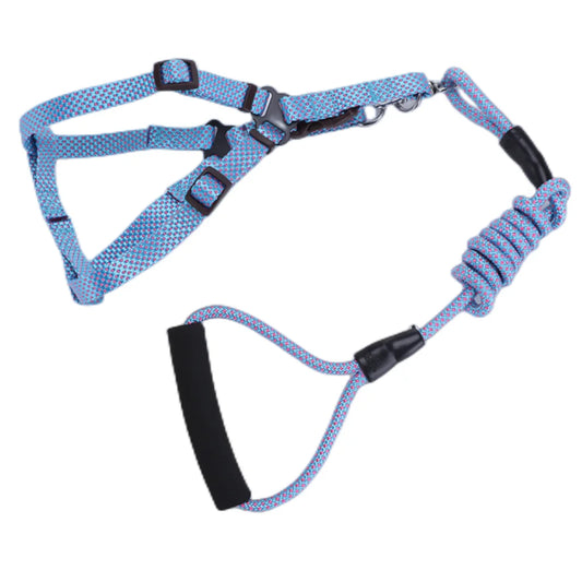 YES4PETS 2 X Medium Pet Dog Cat Puppy Kitten Rabbit Dog