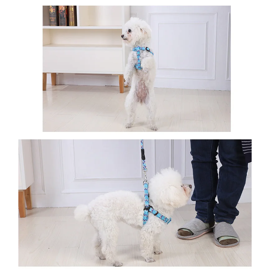 YES4PETS 2 X Medium Pet Dog Cat Puppy Kitten Rabbit Dog