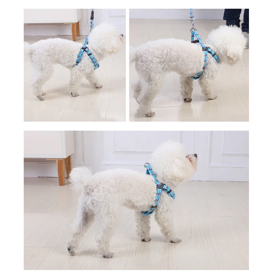 YES4PETS 2 X Medium Pet Dog Cat Puppy Kitten Rabbit Dog