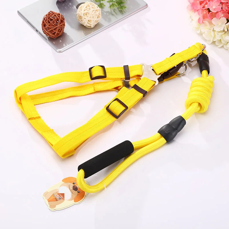 YES4PETS 2 X Medium Pet Dog Puppy Dog Harness Collar leash