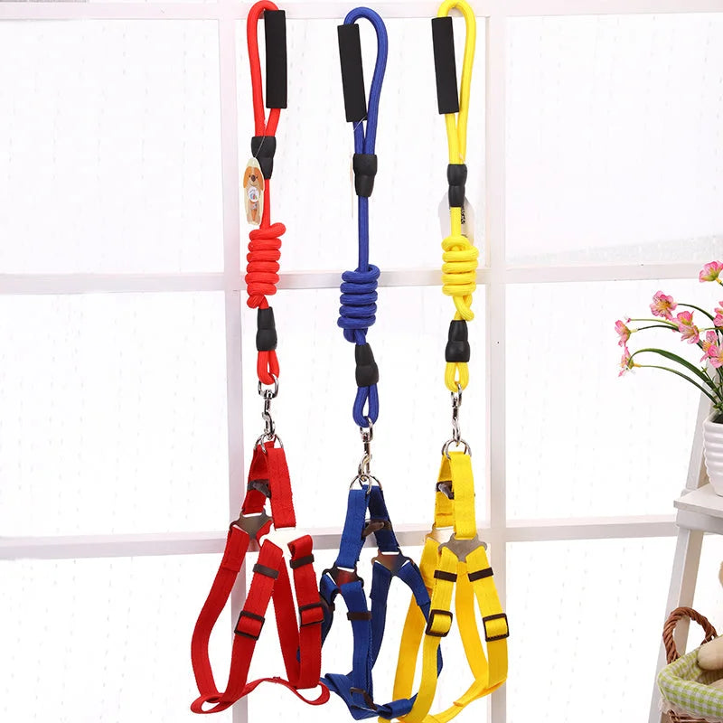 YES4PETS 2 X Medium Pet Dog Puppy Dog Harness Collar leash