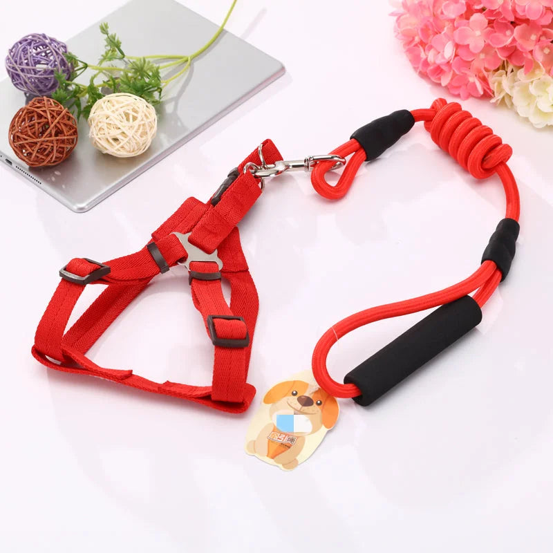 YES4PETS 2 X Medium Pet Dog Puppy Dog Harness Collar leash