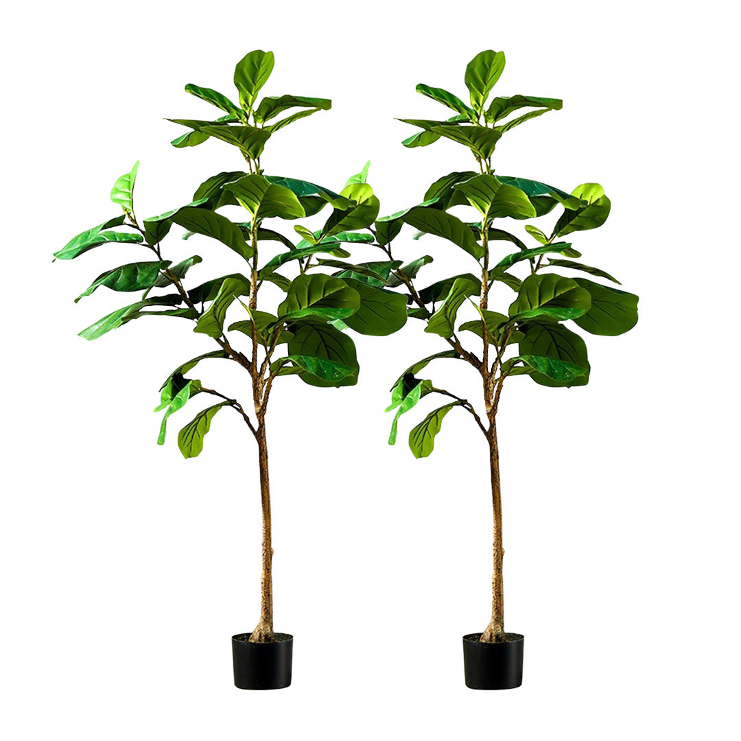 Premium 2X 155cm Green Artificial Indoor Qin Yerong Tree Fake Plant Simulation Decorative - image1