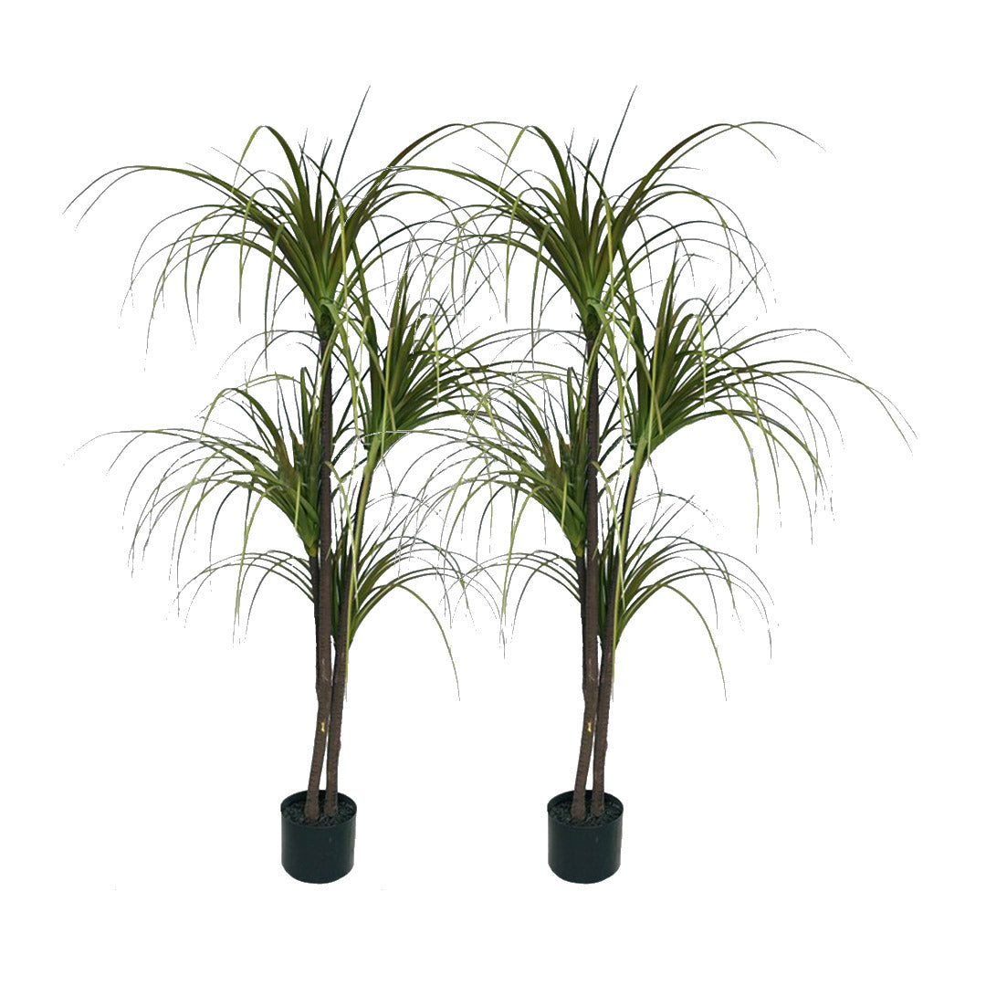 Premium 2X 150cm Green Artificial Indoor Dragon Blood Tree Fake Plant Simulation Decorative - image1