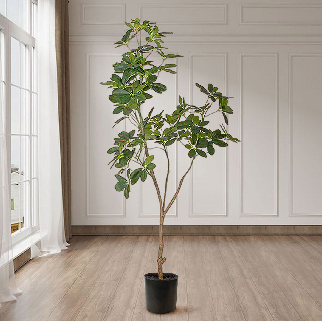 Premium 2X 160cm Artificial Natural Green Schefflera Dwarf Umbrella Tree Fake Tropical Indoor Plant Home Office Decor - image3