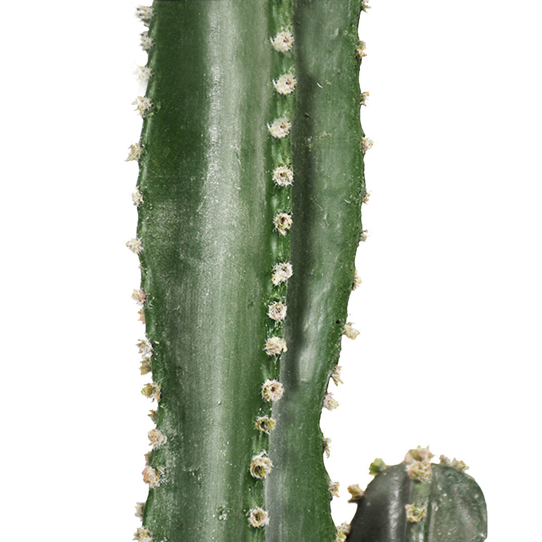 Premium 70cm Green Artificial Indoor Cactus Tree Fake Plant Simulation Decorative 5 Heads - image3