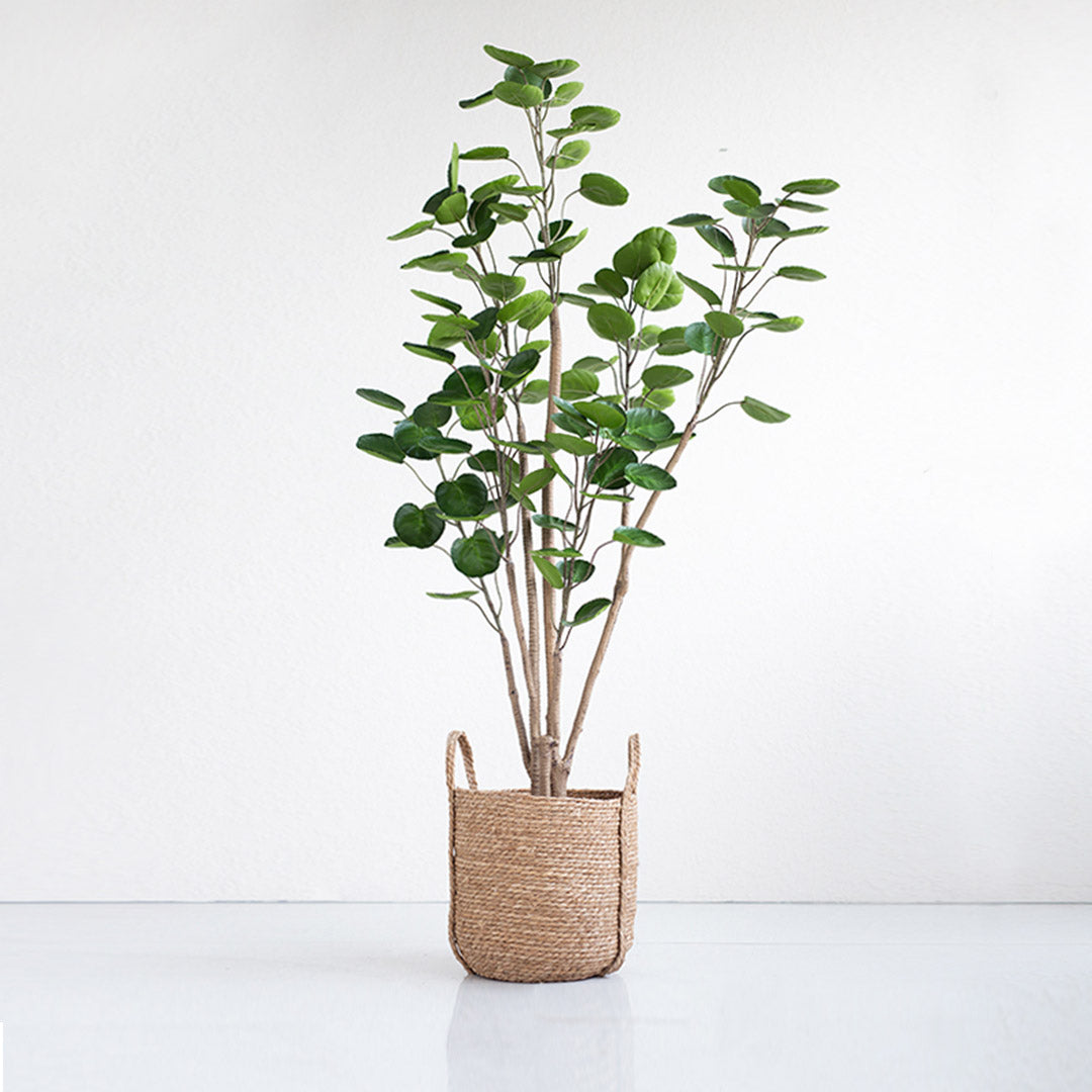 Premium 150cm Green Artificial Indoor Pocket Money Tree Fake Plant Simulation Decorative - image4