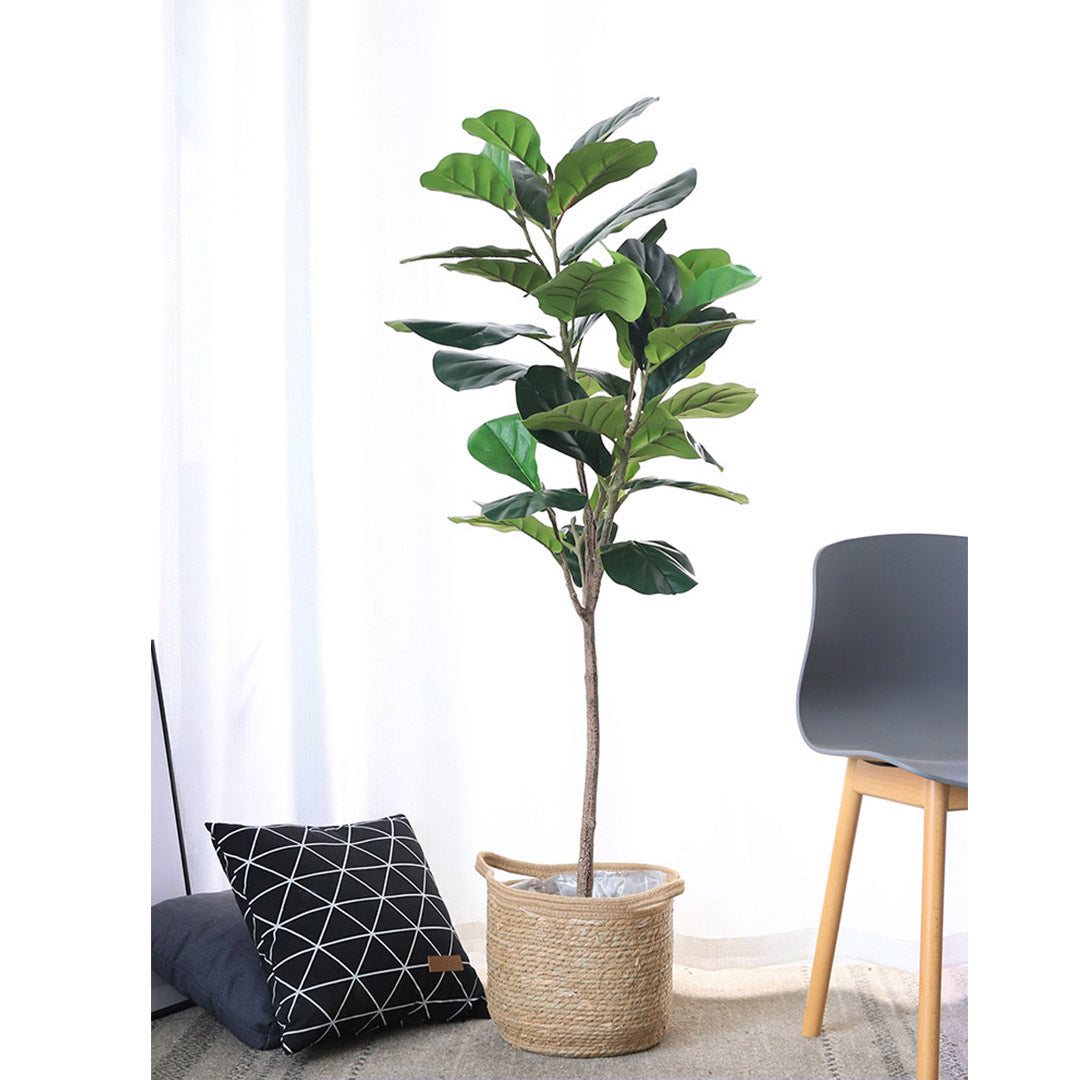 Premium 4X 155cm Green Artificial Indoor Qin Yerong Tree Fake Plant Simulation Decorative - image4