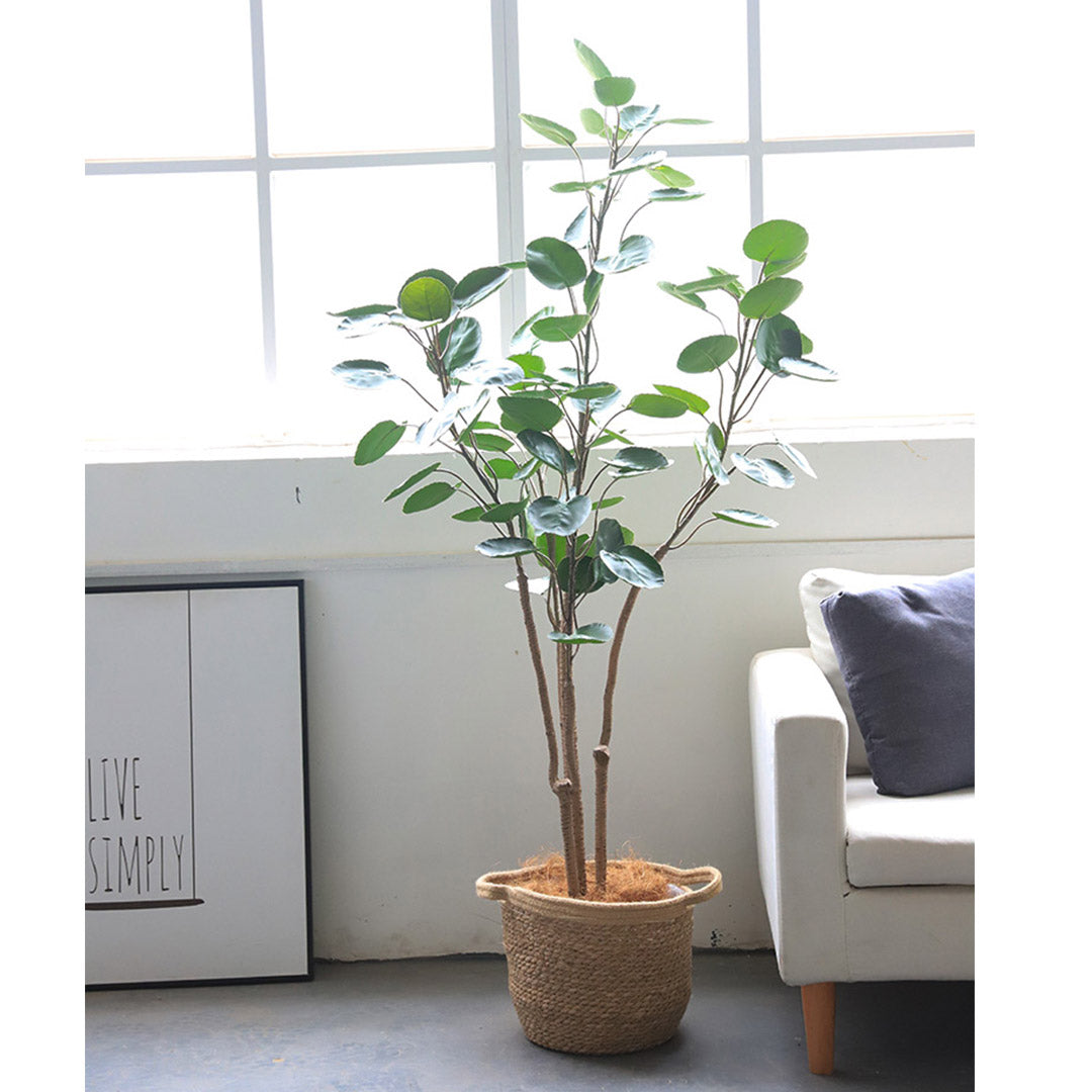 Premium 4X 180cm Green Artificial Indoor Pocket Money Tree Fake Plant Simulation Decorative - image5