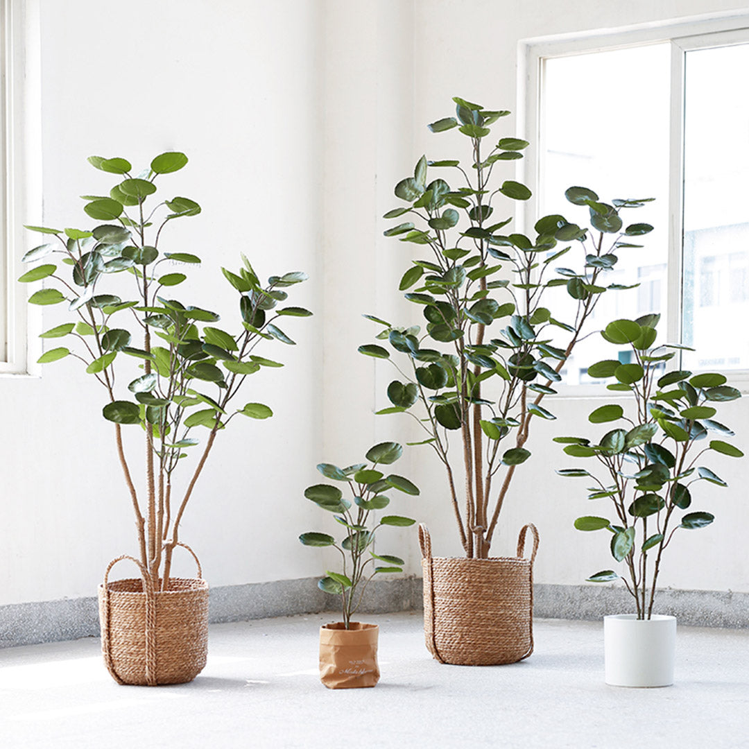 Premium 2X 150cm Green Artificial Indoor Pocket Money Tree Fake Plant Simulation Decorative - image9