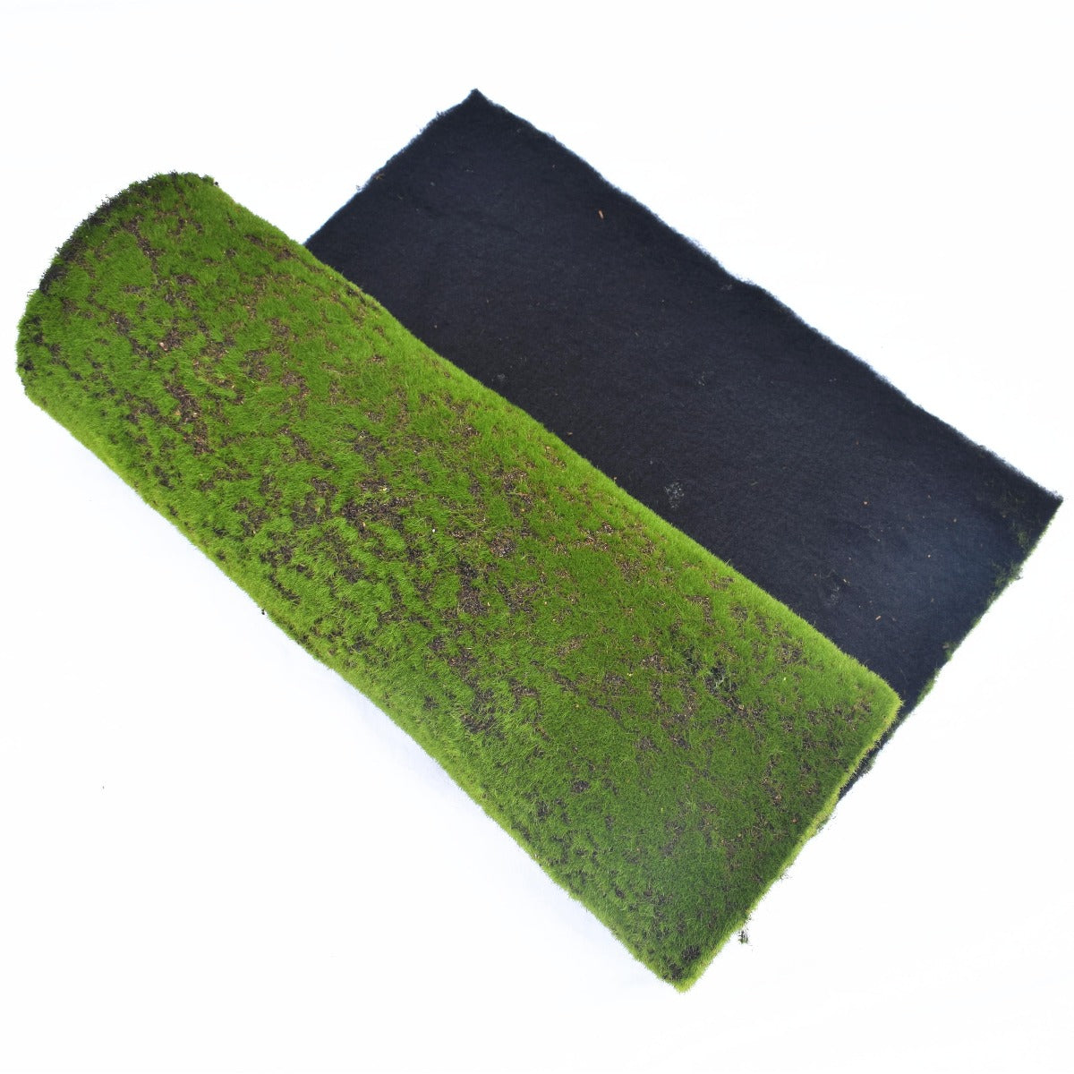 Moss Wall Covering 200cm x 50cm - image4