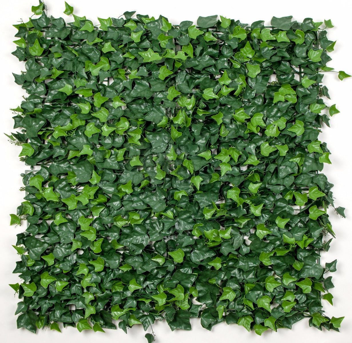 Ivy Leaf Screens / Panels UV Stabilised 1m X 1m - image3