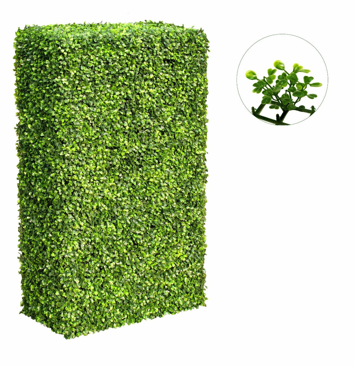 Large Portable Boxwood Hedges UV Stabilised 2m By 1m - image3