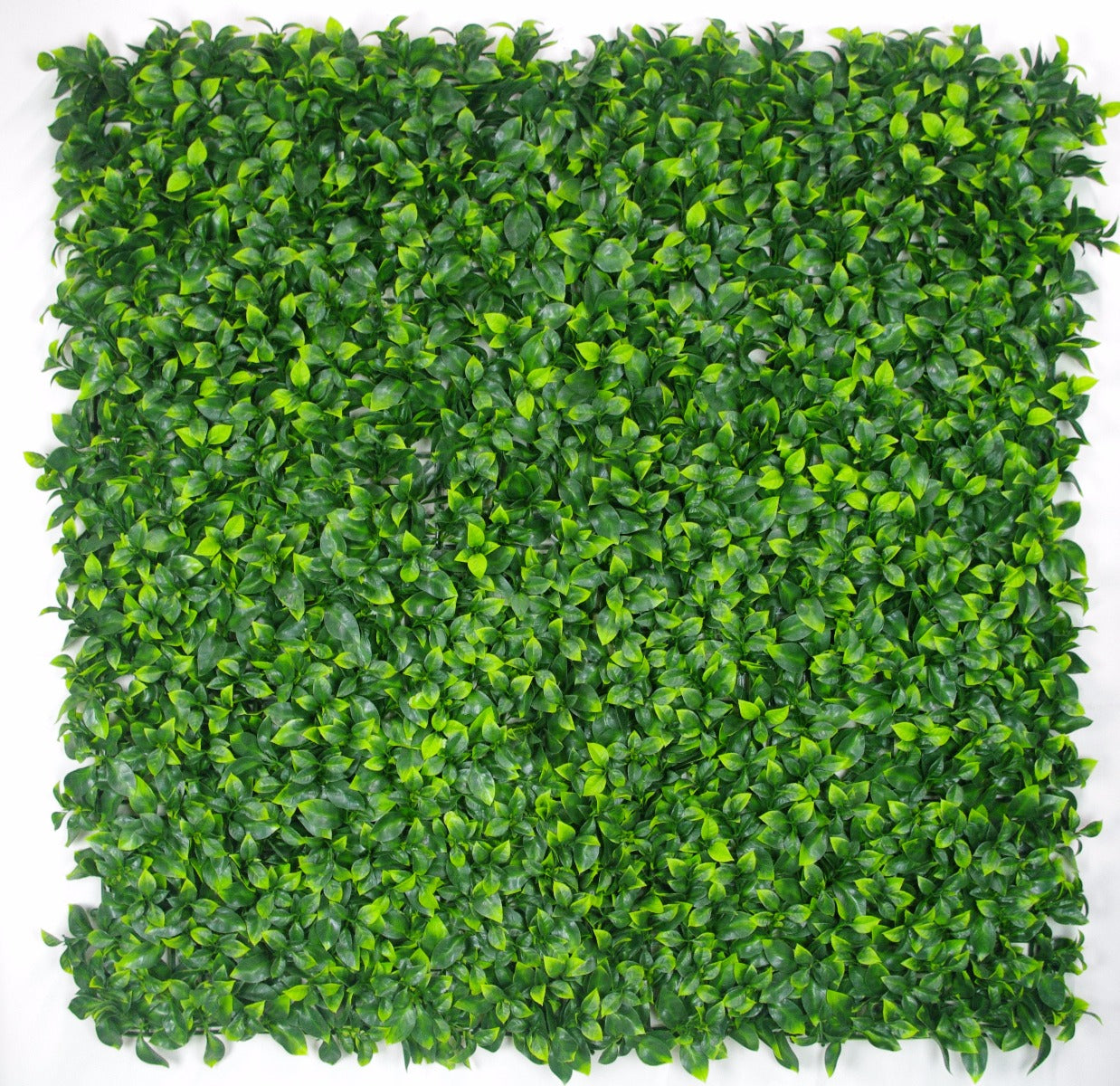 Jasmine Leaf Screens / Panels UV Stabilised 1m X 1m - image4