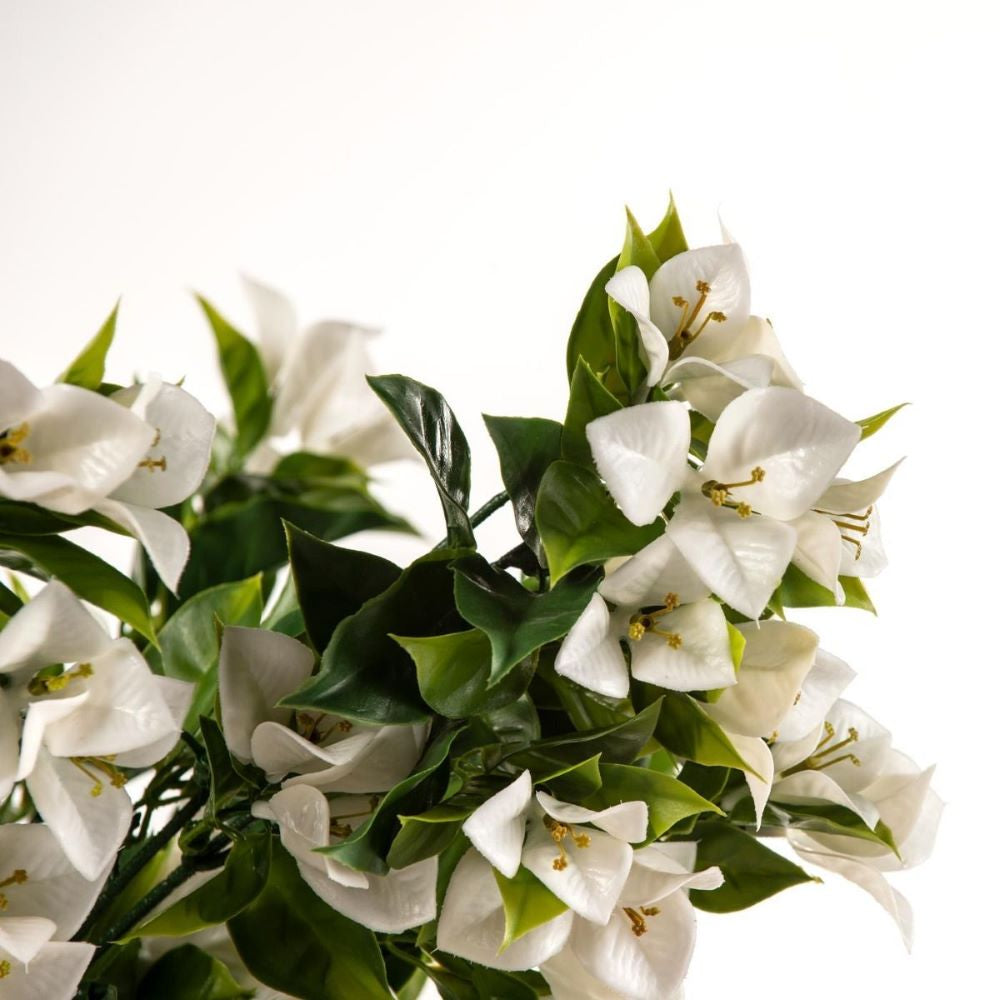 Hanging White Bougainvillea Plant UV Resistant 90cm - image2