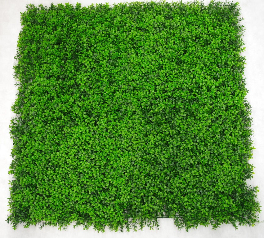 Deluxe Buxus Panels UV Stabilised 1m X 1m - image3