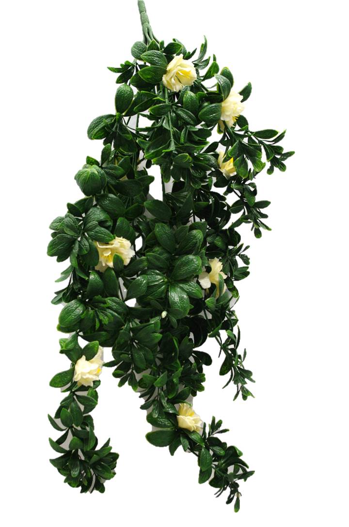 Hanging White Rose Stem UV 85cm - image4