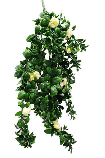 Hanging White Rose Stem UV 85cm - image1