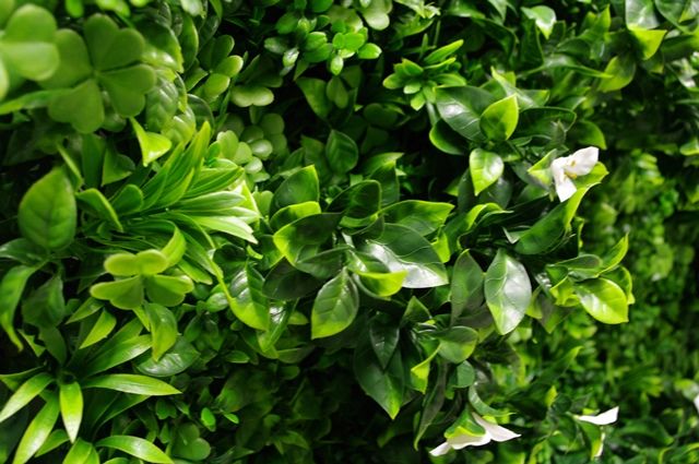 White Oasis Vertical Garden / Green Wall UV Resistant 1m x 1m - image3