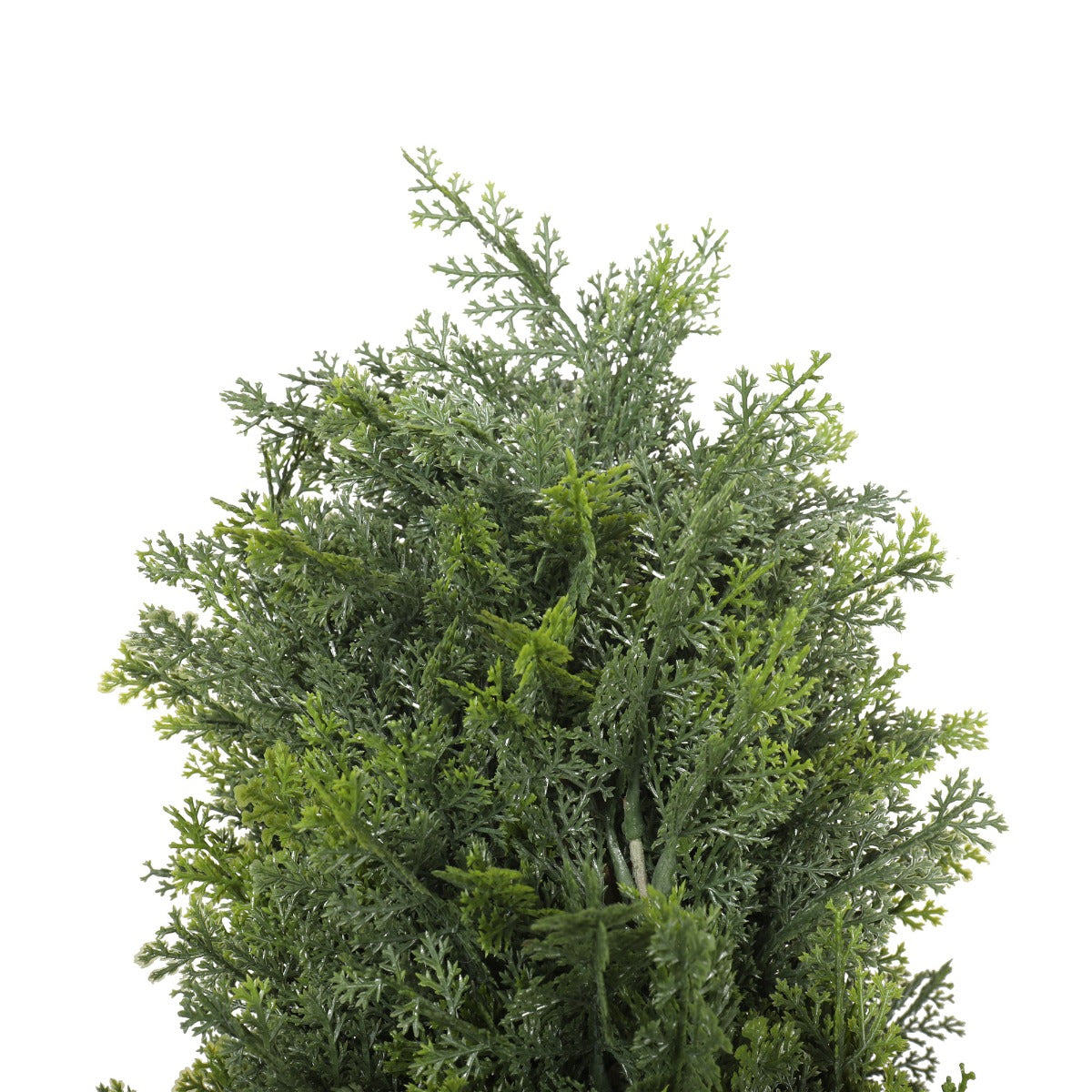 UV Resistant Cypress Pine Tree 2.1m - image3